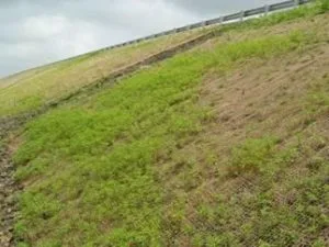 EMBANKMENT PROTECTION