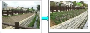 GARDEN DEVELOPMENTIN SLOPES