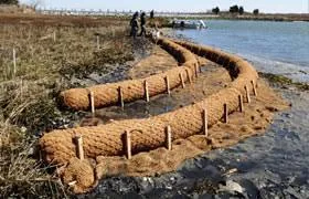 Ges Coir Bed 1