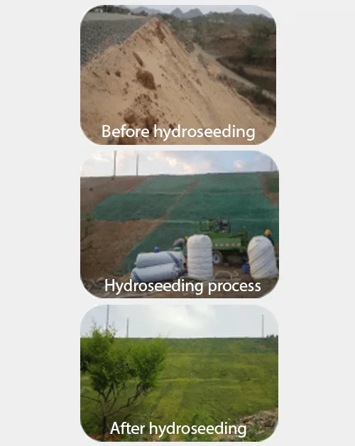 Hydroseeding