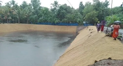 Pond 1