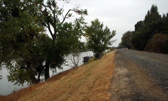 Road-Construction